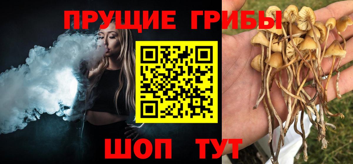 Псилоцибиновые грибы MAGIC MUSHROOMS Барабинск
